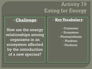 Ecosystem Energy & Invasive Species: Zebra Mussel Impact
