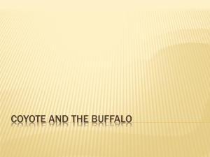 Coyote and the Buffalo: Trickster Analysis