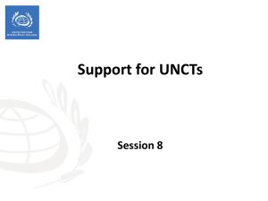 Session 8 - Support for UNCTs