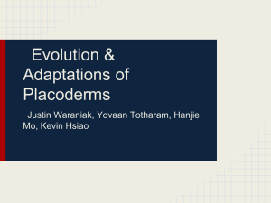 Evolution & Adaptations of Placoderms