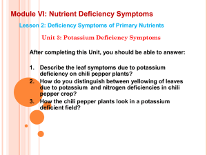 Module VI: Nutrient Deficiency Symptoms