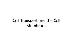 Cell Transport & Membrane: Hypotonic, Hypertonic, Isotonic Solutions