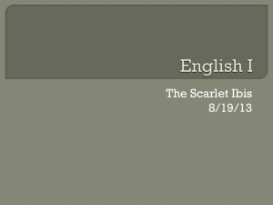 The Scarlet Ibis: Analysis & Activities