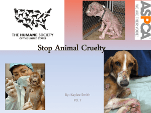 Stop Animal Cruelty - kaylees