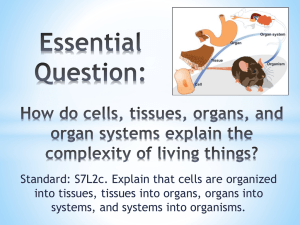 Levels of Organization in Living Things: Cells to Organisms