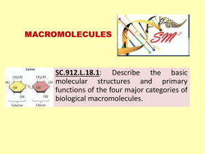 Macromolecules: Structure & Function - High School Biology