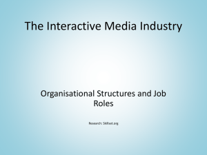 The Interactive Media Industry – Organisational