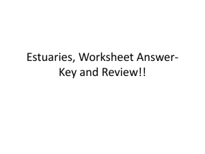 Estuaries, Ecology & Biomes Worksheet Answer Key & Review