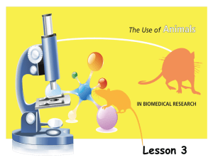 Lesson - Foundation for Biomedical Research