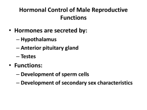 Male Reproductive Hormones: Control & Function