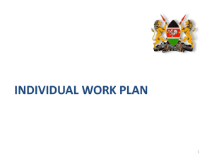 Individual Work Plan: SMART Targets & Performance
