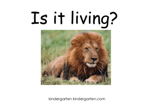 Is it living? - Kindergarten Kindergarten