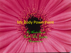 My Body PowerPoint