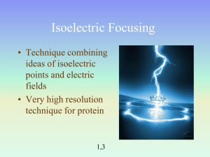 Isoelectric Focusing