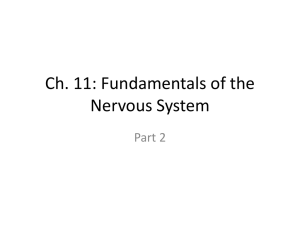 ns-part2 - AandPonline.com