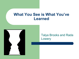 What You See is What You`ve Learned