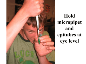 Fingerprinting and Restriction Enzymes Lecture