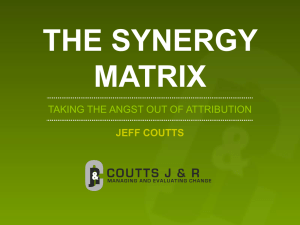 Synergy Matrix: Attribution & Program Evaluation
