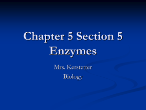 Enzymes: Biology Presentation on Enzyme Function