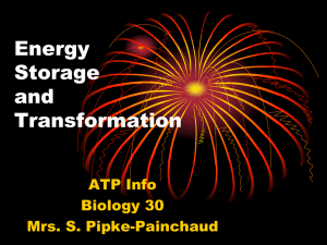 ATP - Powerpoint