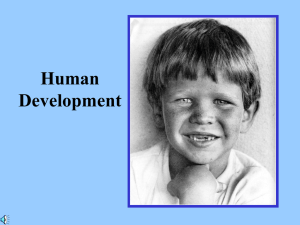 Development Stages