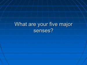 Special Senses: Vision