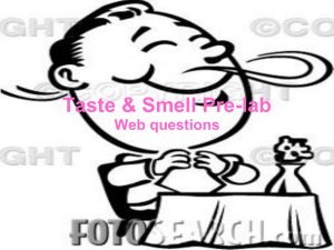 Taste & Smell Pre-lab Web questions