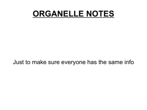Cell Organelle Notes: Functions & Definitions