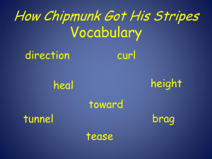 How Chipmunk Got His Stripes