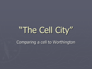 “The Cell City”