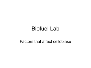 Biofuel Lab