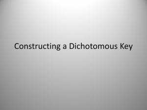 Dichotomous Key: Construction & Identification Guide
