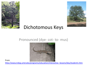 Dichotomous Keys: Identifying Organisms