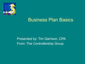 Business Plan Basics - The Controllership Group