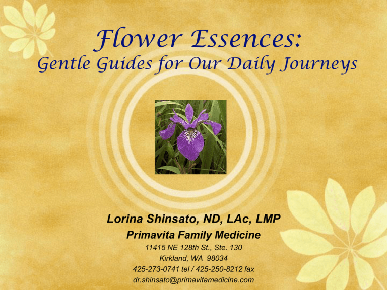 Flower Essences Primavita Family Medicine