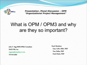Organizational Project Management