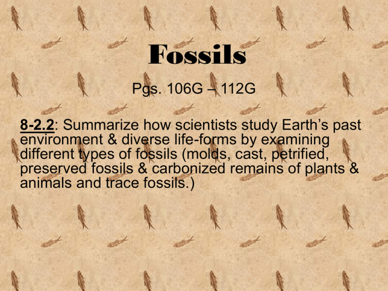 Fossils power point