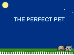 The Perfect Pet: Story Structure & Problem Solving