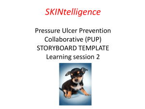 LS2 STORYBOARD TEMPLATE_SKINtelligence PUP collaborative