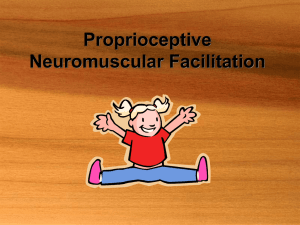 PNF Stretching: Principles and Techniques