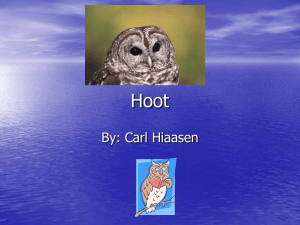 Hoot Study Guide: Vocabulary, Characters, Plot & More