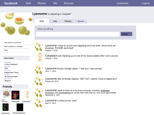 Facebook Project