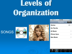 Levels of Organization powerpoint