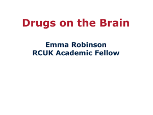 Drugs on the brain