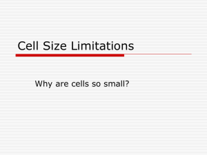 Cell Size Limitations: Why Cells Are So Small