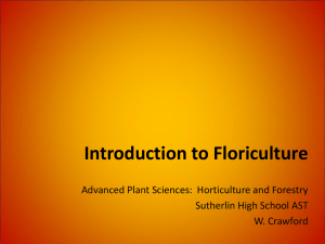 Introduction to Floriculture: Design & Industry Overview