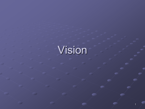 Vision