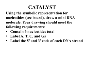 Proteins and Amino Acids: Structure and Function