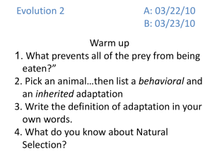 Evolution & Natural Selection: Peppered Moth Simulation