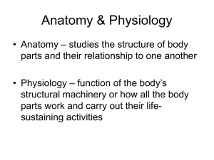 Anatomy & Physiology